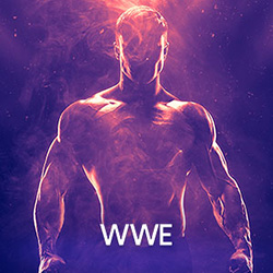 WWE Tickets